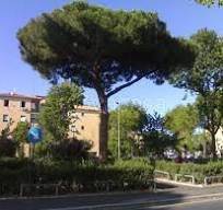 appartamento in vendita a Roma in zona Acilia