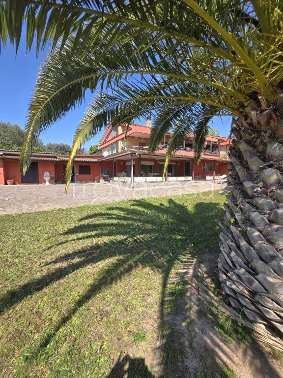 appartamento in vendita a Roma in zona Trigoria