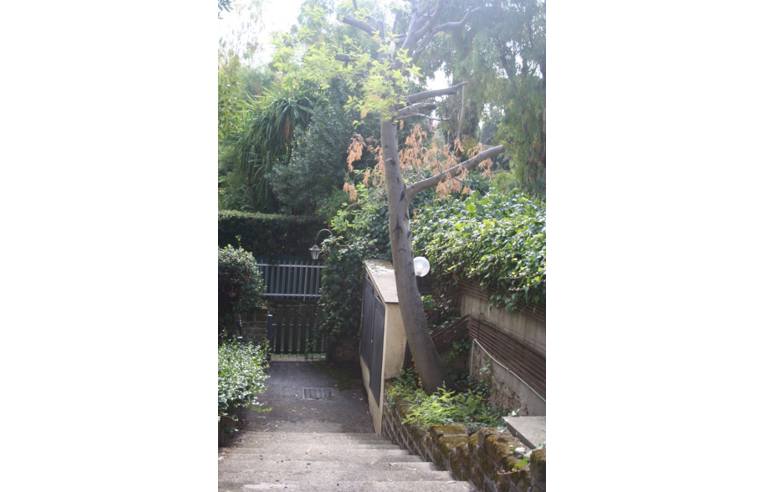 appartamento in vendita a Roma in zona Tomba di Nerone