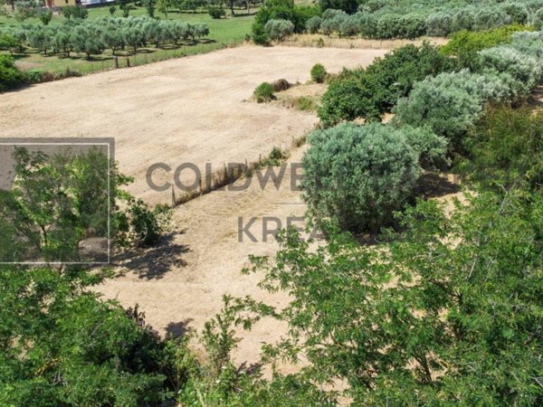 terreno agricolo in vendita a Roma in zona Trigoria