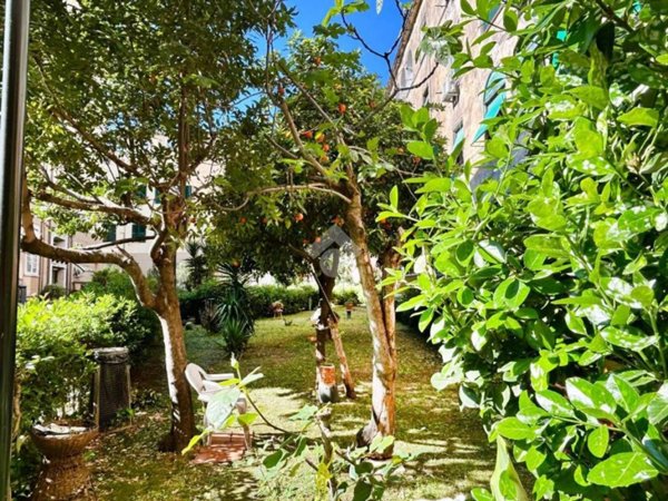 appartamento in vendita a Roma in zona Monte Sacro/Talenti