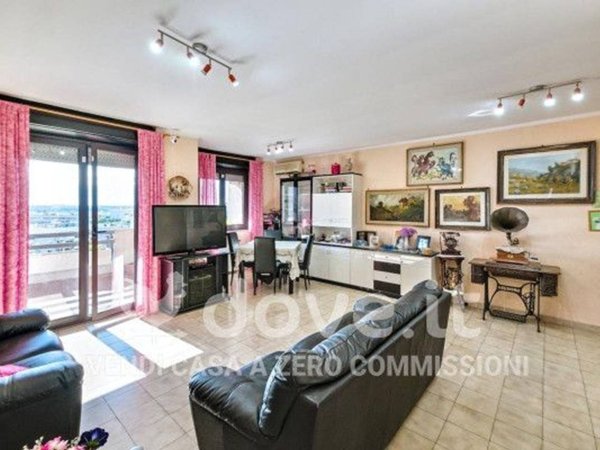 immagine annuncio 0 di 15