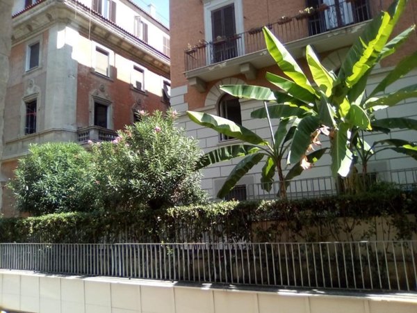 appartamento in vendita a Roma in zona Parioli