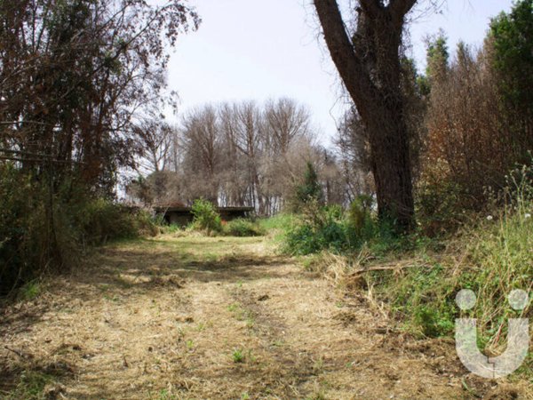 terreno edificabile in vendita a Roma in zona La Giustiniana