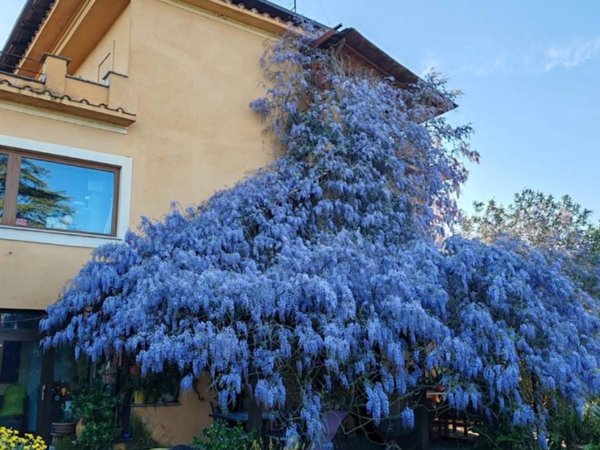 casa indipendente in vendita a Roma in zona Trigoria