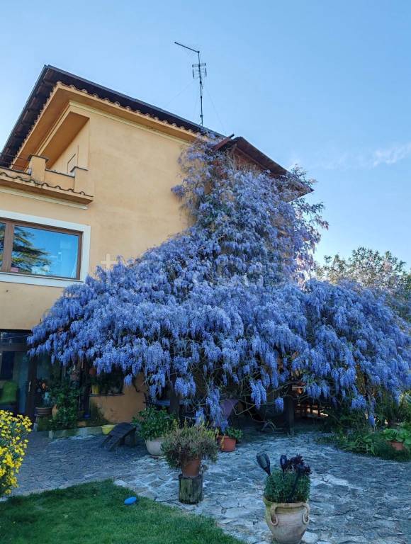 casa indipendente in vendita a Roma in zona Trigoria