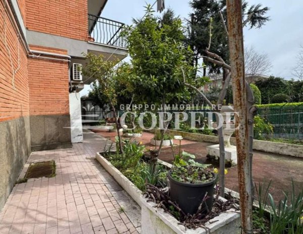 appartamento in vendita a Roma in zona Tor Vergata/Torrenova