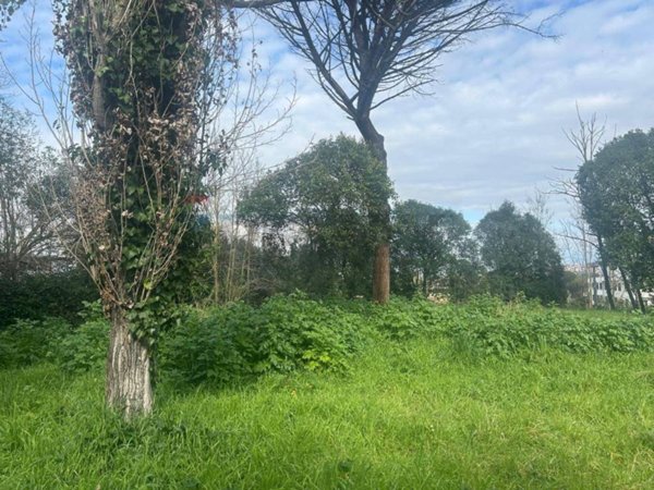 casa indipendente in vendita a Roma in zona Castel Giubileo
