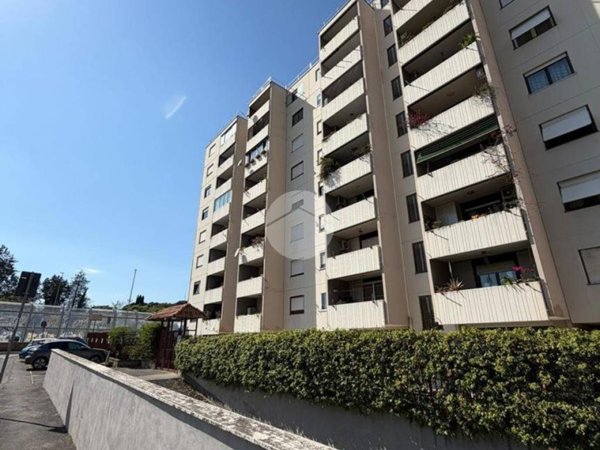 appartamento in vendita a Roma in zona Monte Sacro/Talenti