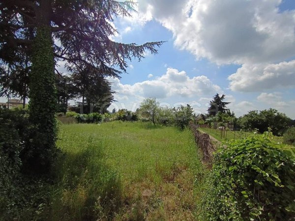 terreno agricolo in vendita a Roma in zona Casalotti