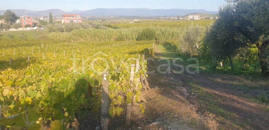 terreno agricolo in vendita a Roma in zona Finocchio
