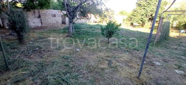 terreno agricolo in vendita a Roma in zona Primavalle