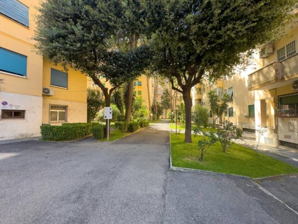 appartamento in vendita a Roma in zona Ardeatino