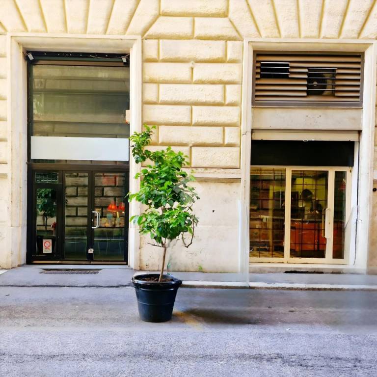 negozio in vendita a Roma in zona Parione/Sant'Eustachio