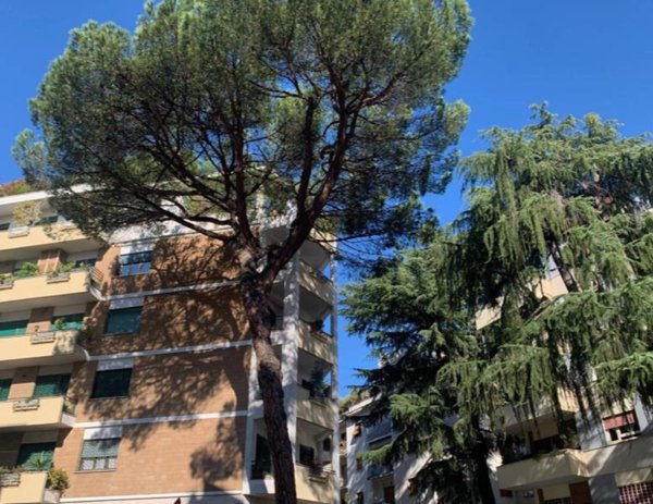 appartamento in vendita a Roma in zona Tor di Quinto
