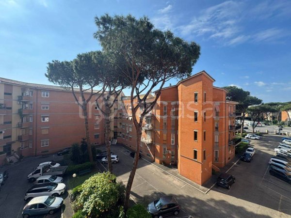 appartamento in vendita a Roma in zona Ostia