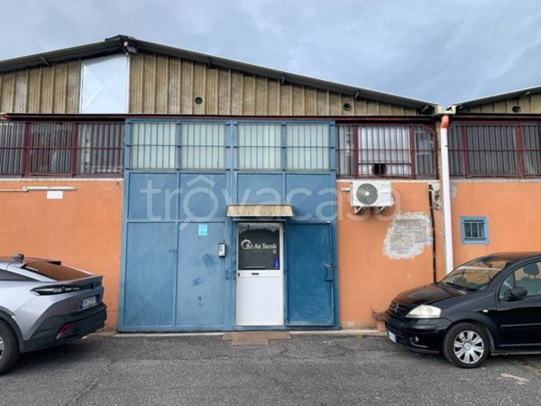 locale commerciale in vendita a Roma in zona Massimina/Casal Lumbroso