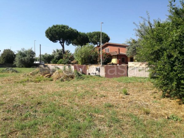terreno agricolo in vendita a Roma in zona Casal Palocco
