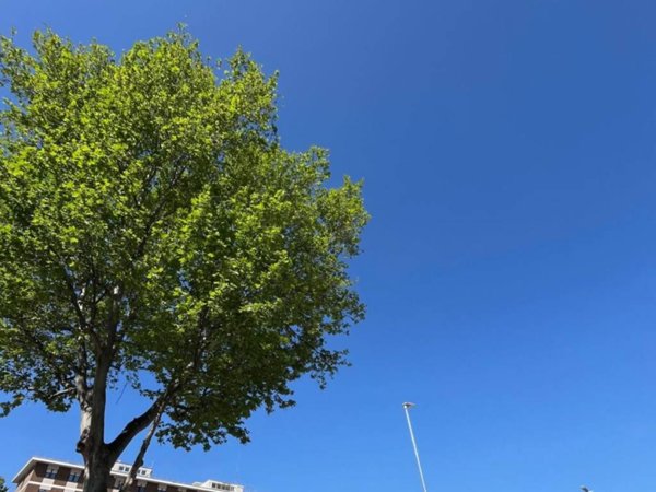 appartamento in vendita a Roma in zona Pietralata