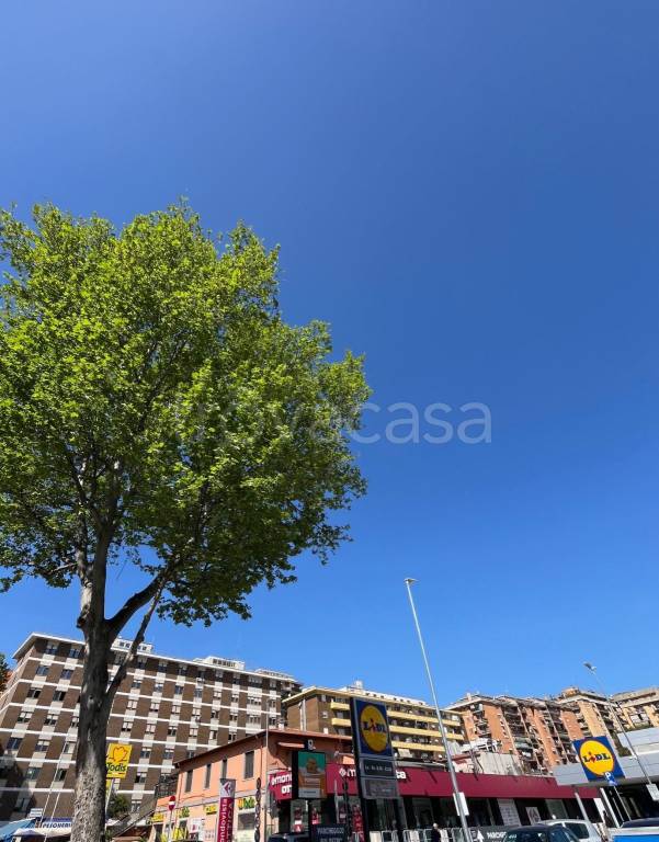 appartamento in vendita a Roma in zona Collatino