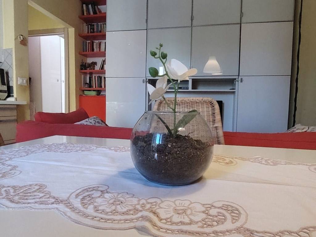 appartamento in vendita a Roma in zona Tor Vergata/Torrenova