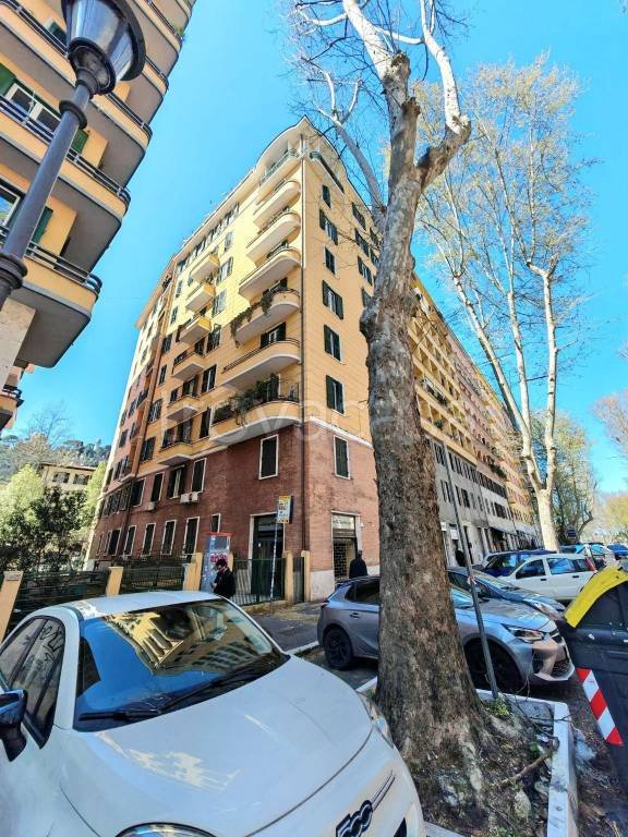 appartamento in vendita a Roma in zona Della Vittoria