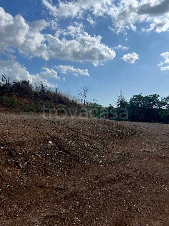 terreno agricolo in vendita a Roma in zona Ardeatino