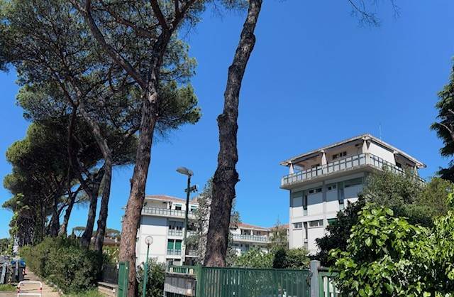 appartamento in vendita a Roma in zona Tor di Quinto