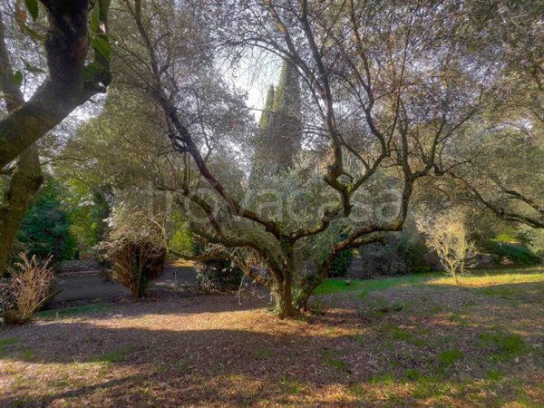 casa indipendente in vendita a Roma in zona Monte Sacro/Talenti