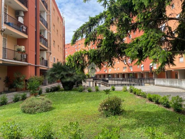 appartamento in vendita a Roma in zona Collatino