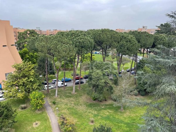 appartamento in vendita a Roma in zona Giuliano Dalmata