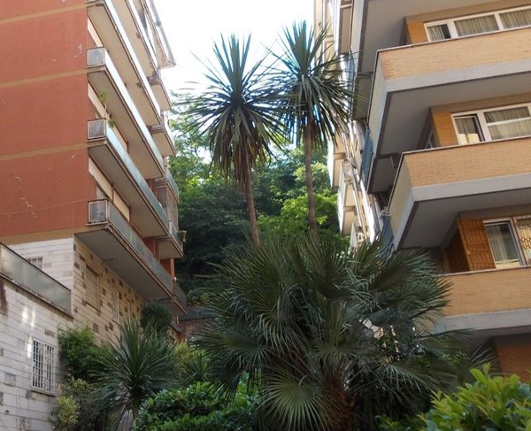 ufficio in vendita a Roma