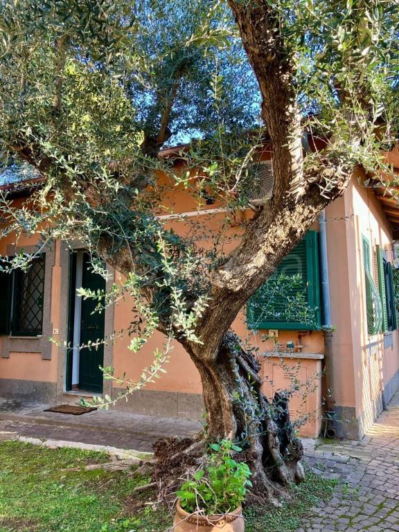 casa indipendente in vendita a Roma in zona Acilia