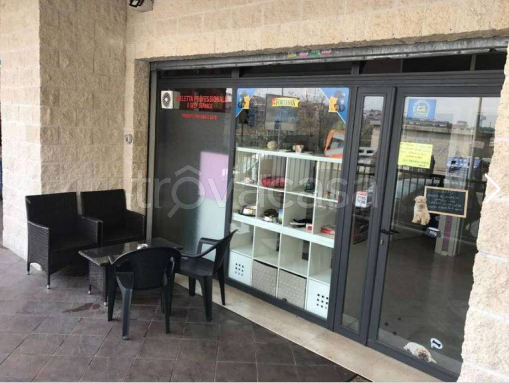 casa indipendente in vendita a Roma in zona Monte Sacro/Talenti