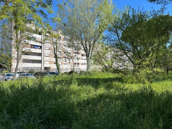 appartamento in vendita a Roma in zona Monte Sacro/Talenti