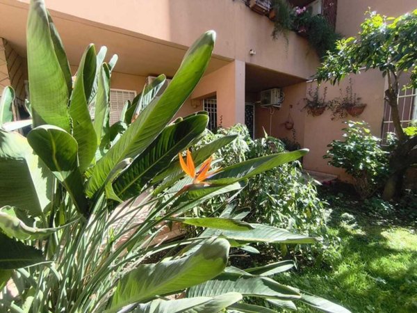 appartamento in vendita a Roma in zona Ardeatino
