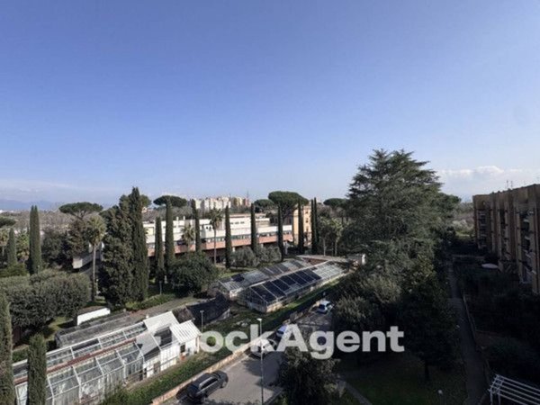 appartamento in vendita a Roma in zona Pietralata