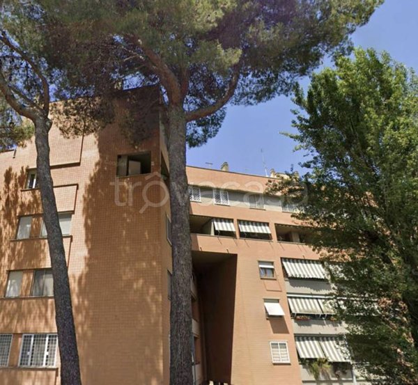 appartamento in vendita a Roma in zona Ottavia