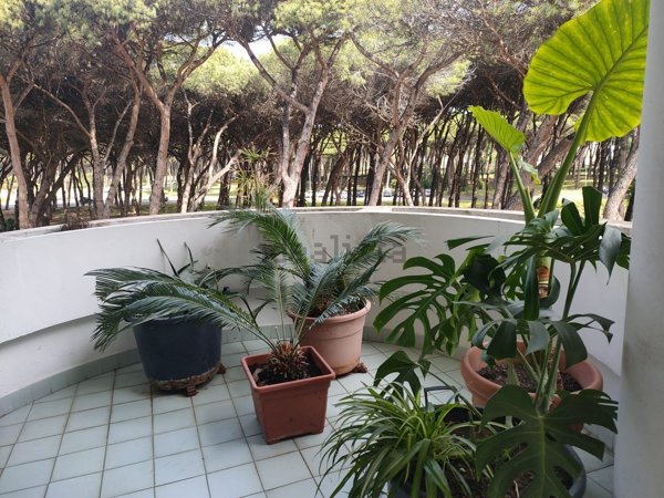 appartamento in vendita a Roma in zona Ostia