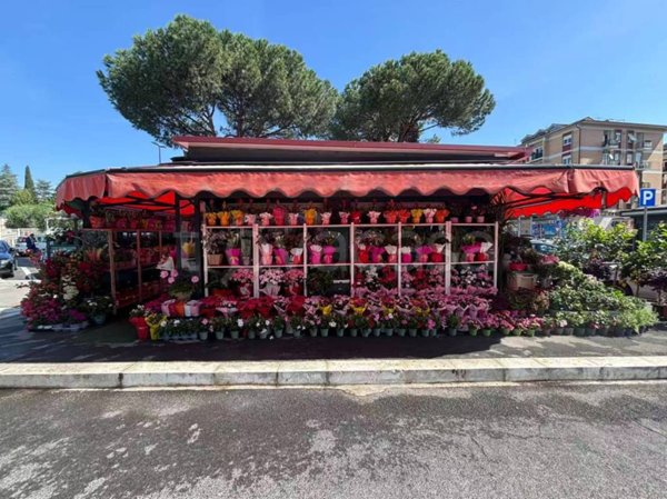 negozio in vendita a Roma in zona Salario