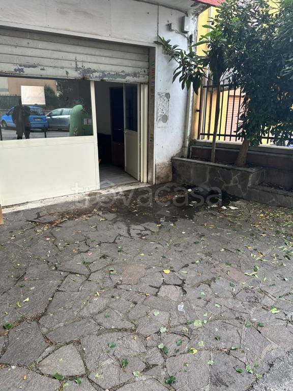 negozio in vendita a Roma in zona Tor Sapienza