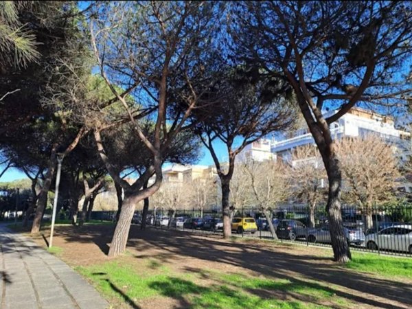 appartamento in vendita a Roma in zona Castel Fusano