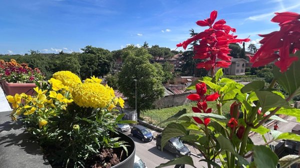 appartamento in vendita a Roma in zona Appio Pignatelli