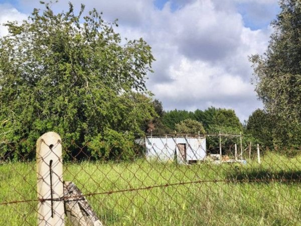 terreno agricolo in vendita a Roma in zona Infernetto