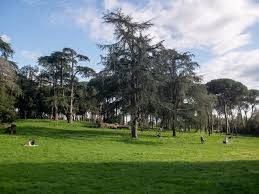appartamento in vendita a Roma in zona Gianicolense