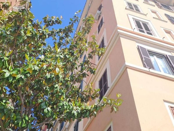 appartamento in vendita a Roma in zona Tuscolano