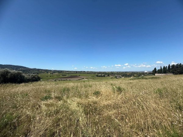 terreno agricolo in vendita a Roma in zona Finocchio