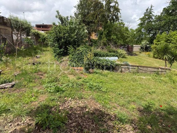 terreno agricolo in vendita a Roma in zona Casalotti