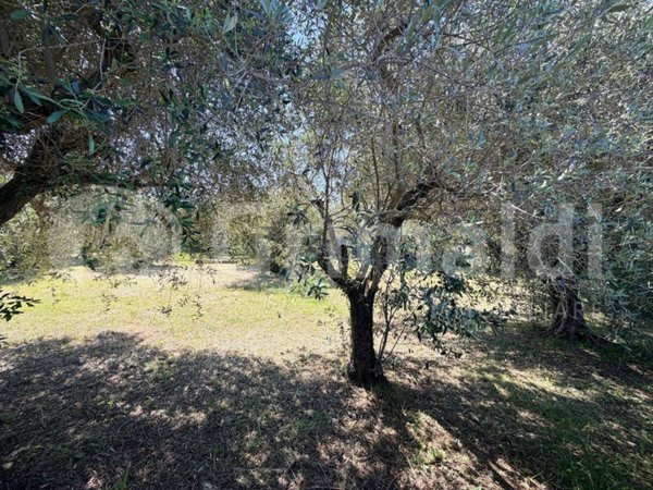 terreno agricolo in vendita a Roma in zona Tor Cervara