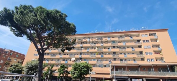 appartamento in vendita a Roma in zona Monte Sacro/Talenti